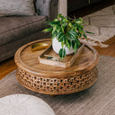 Chandler round natural carved wood coffee table styled with a potted plant and brass handle tray