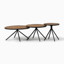 Cayden Side Tables displayed together at staggered heights, showing their round wooden tops and angled black metal legs.
