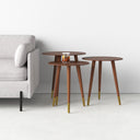 Kayson Solid Wood End Table set arranged beside a light gray sofa, featuring round wooden tops and tapered legs with brass-colored feet.