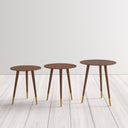 Kayson Solid Wood End Tables displayed at varying heights, emphasizing the smooth round tabletops, solid wood legs, and brass-colored feet.