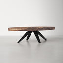 Lane oval wood coffee table three-quarter studio view showcasing black starburst base