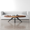 Lane oval wood coffee table with black metal starburst pedestal legs styled in a room