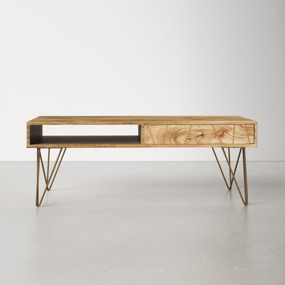 Paul Storage Coffee Table Furniture BoutiQ