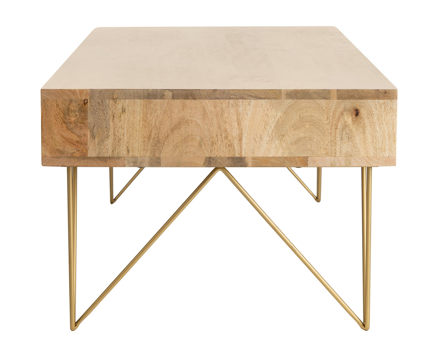 Paul Storage Coffee Table Furniture BoutiQ