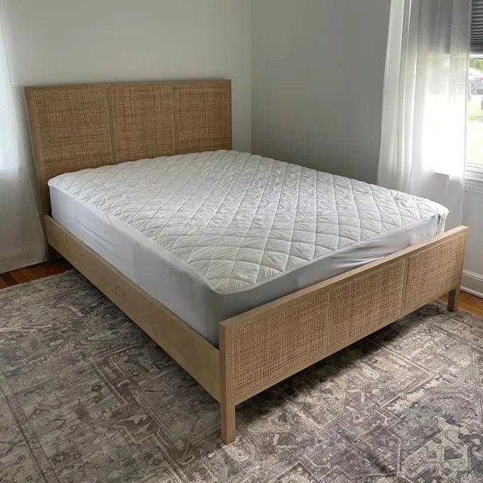 Neo Cane Bed – live photo 3