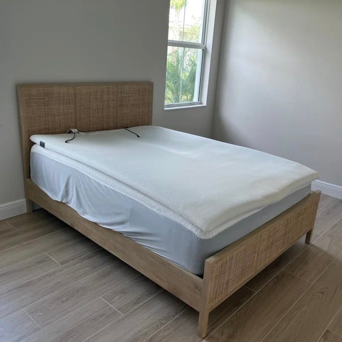 Neo Cane Bed – live photo 2