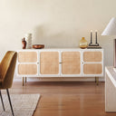 Aden Woven Media Console